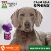 Calming Diffuser Kit for Dogs Puppy Pet Separation Anxiety Relief Calm Pheromones Plug Anti Stress Treatment Help with Fireworks Aggression Fighting &